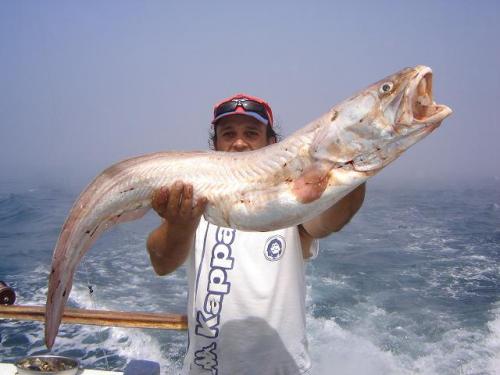 CHERNIAS Y ABADEJOS